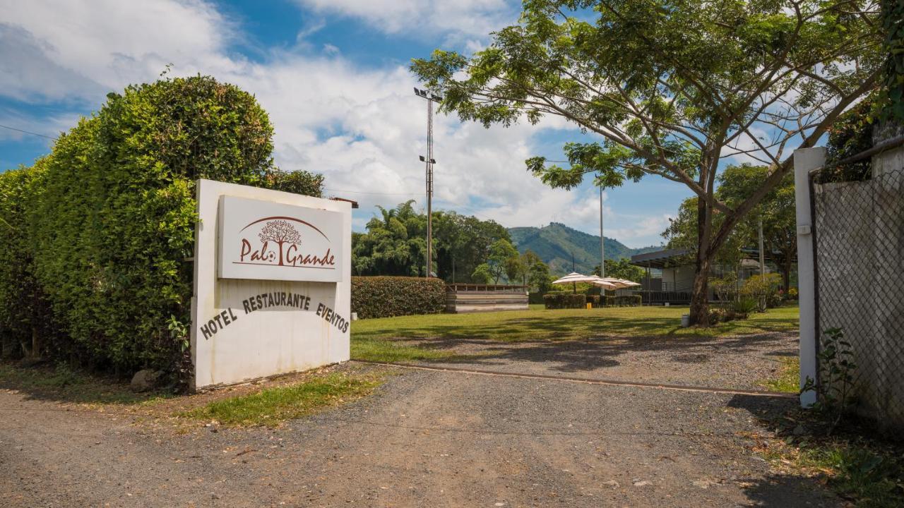 Palo Grande Cf Pereira