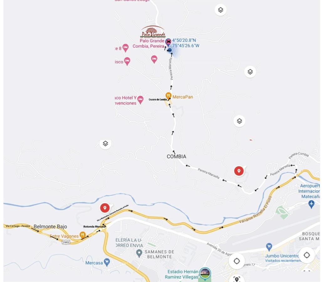 Palo Grande Cf Pereira 酒店
