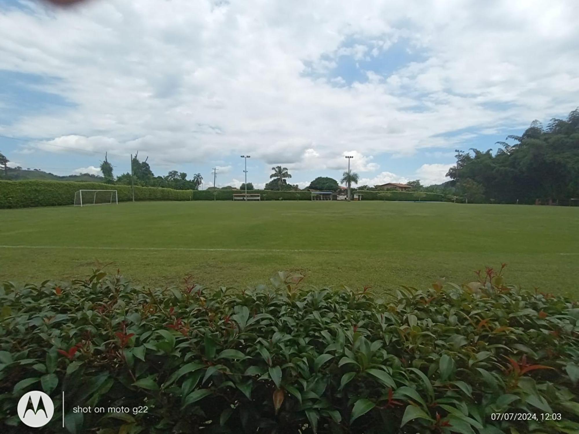 Palo Grande Cf Pereira Combia