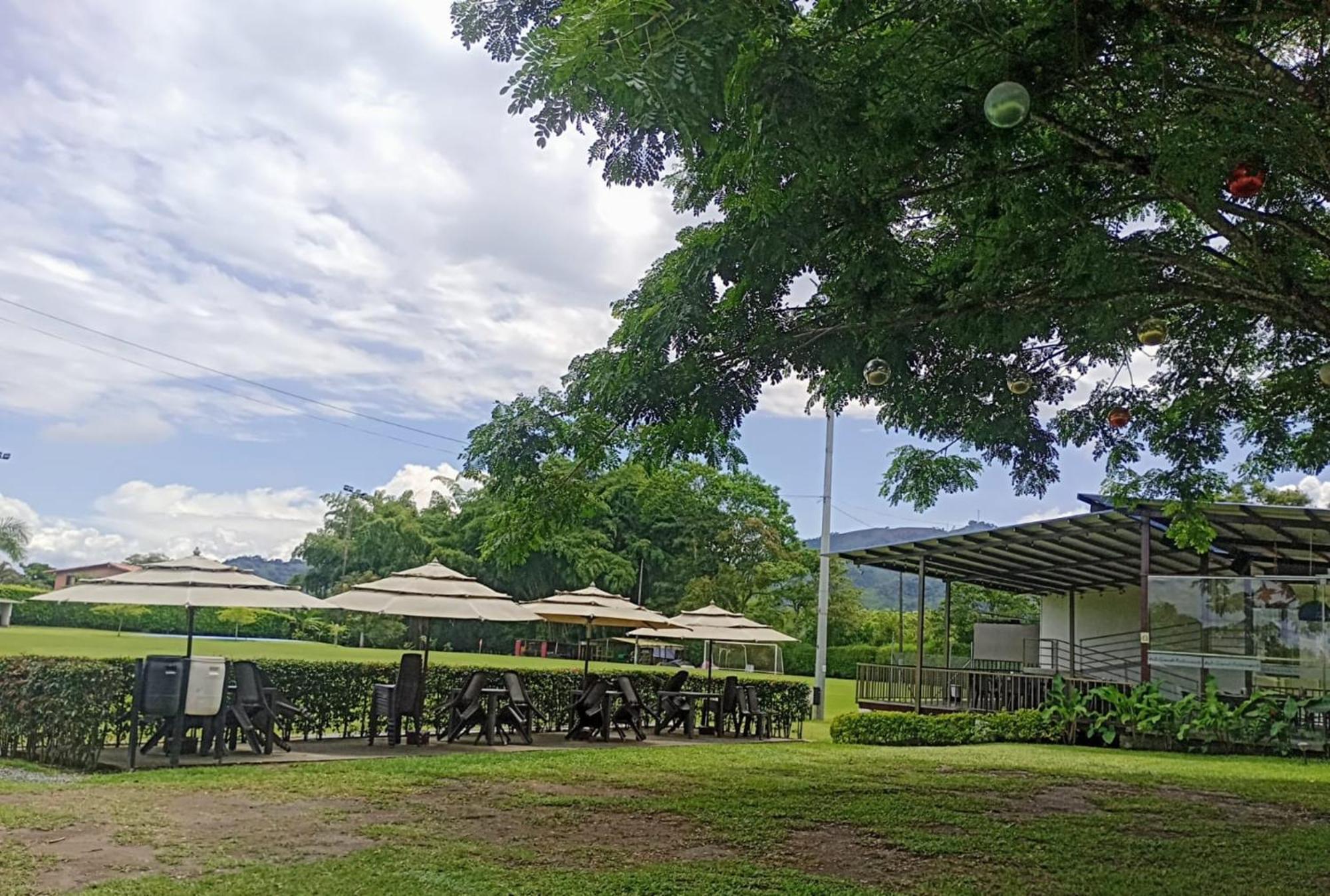Palo Grande Cf Pereira