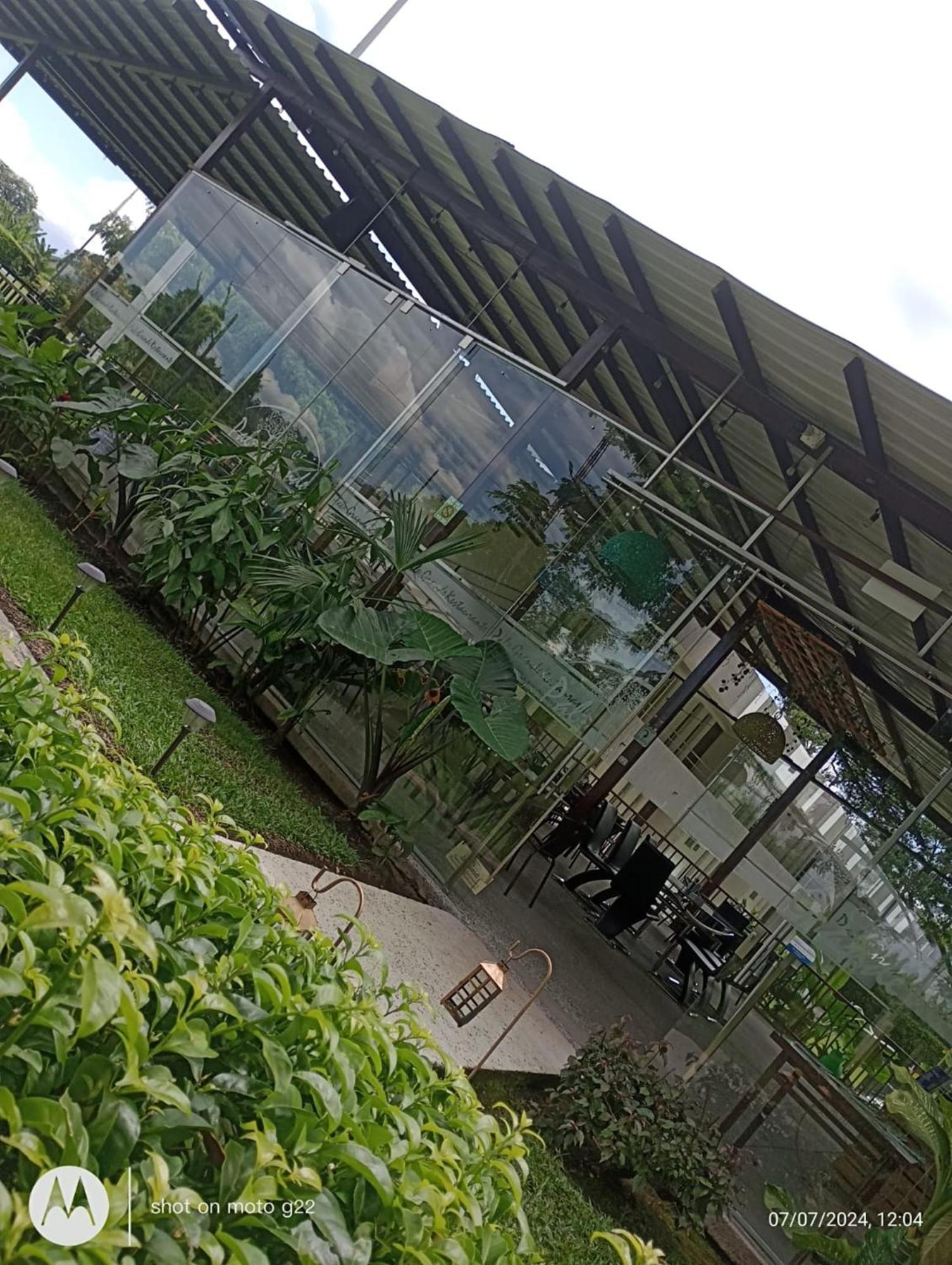 Palo Grande Cf Pereira Hotel